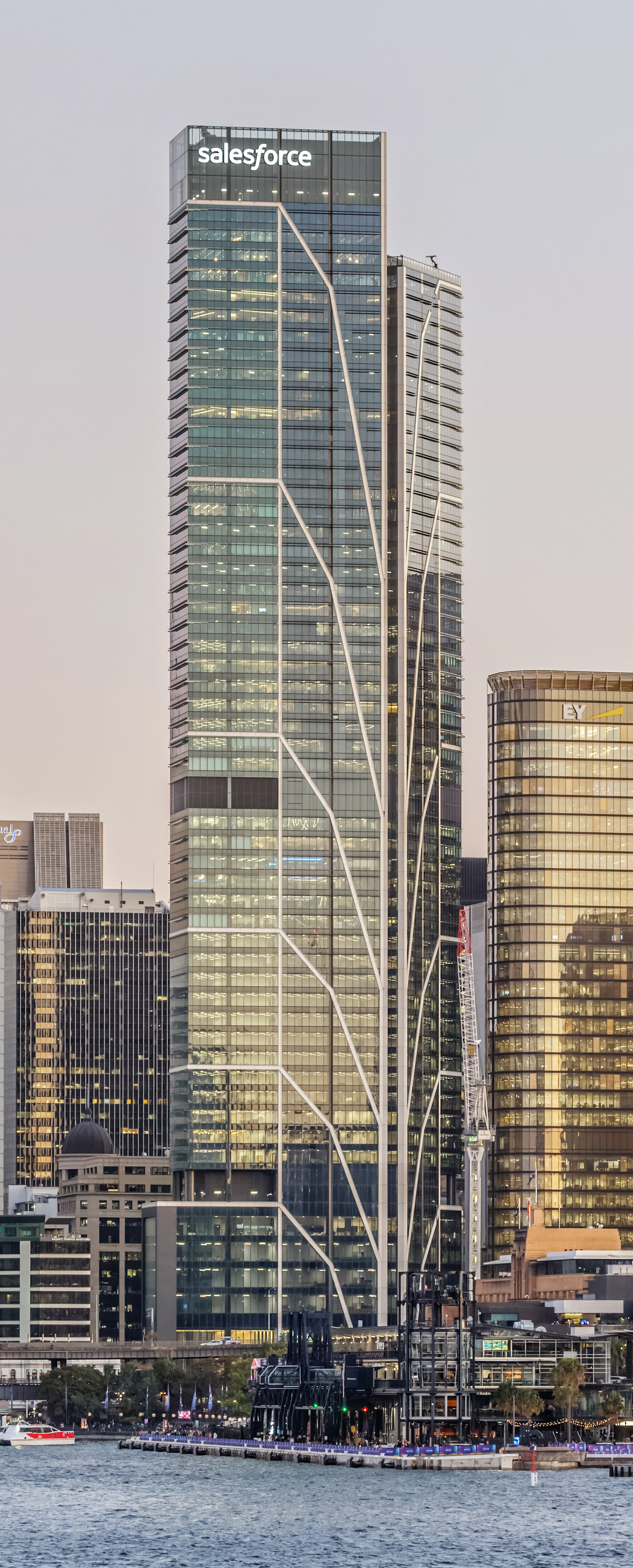 Salesforce Tower - View from Milsons Point 
