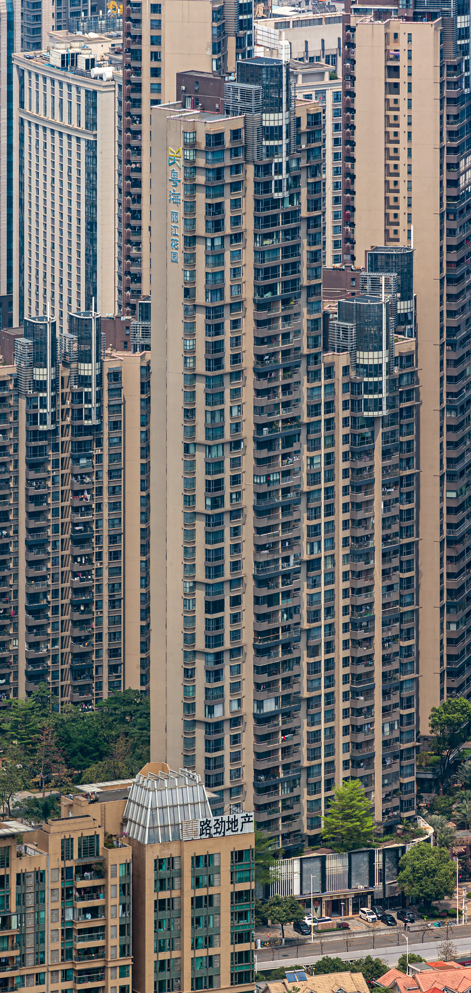 Guangdong Lijiang Garden Tower A6 - View from Canton Tower 