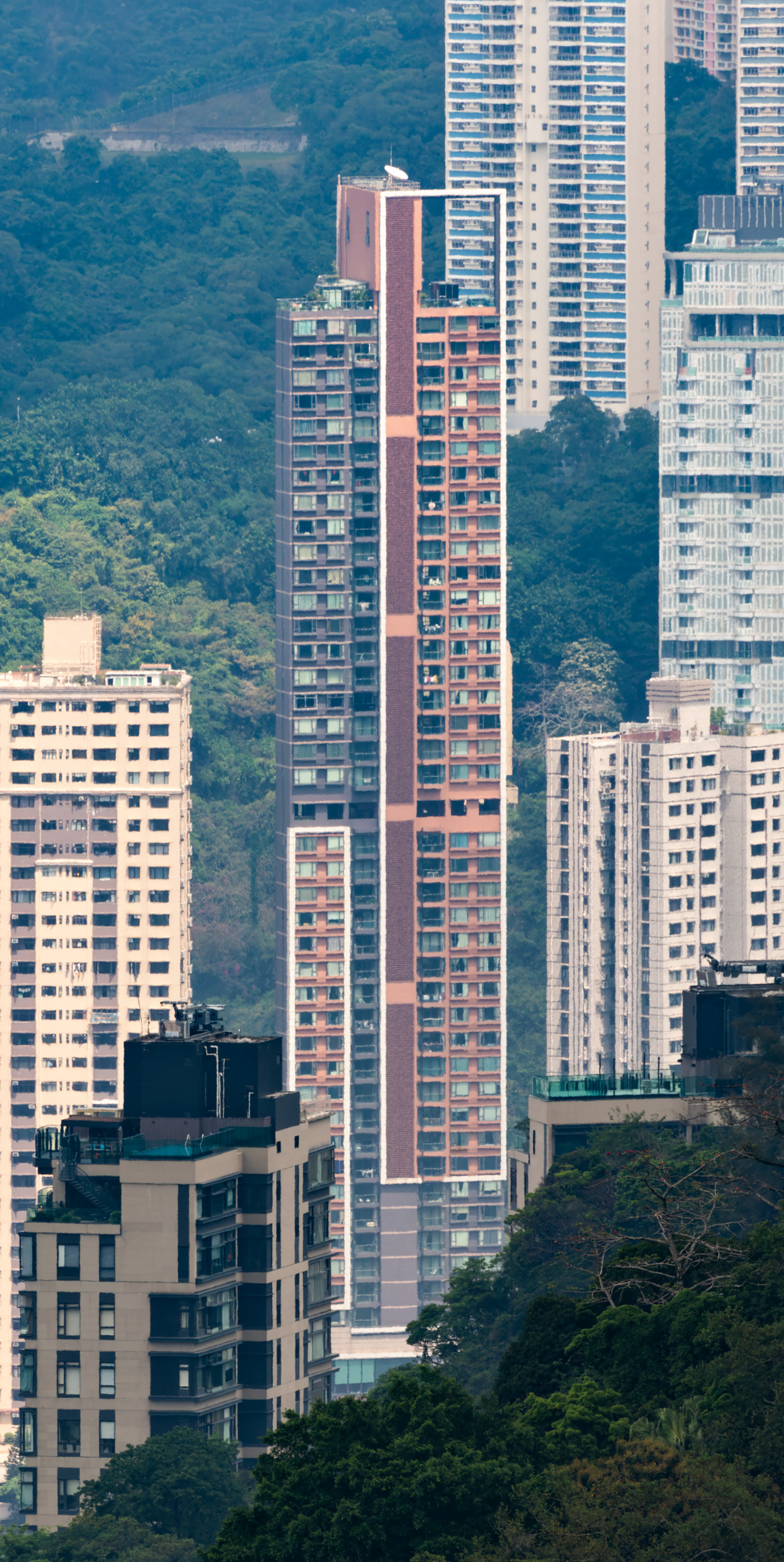Broadwood Twelve - View from Peak Tower&nbsp;